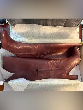 Sam Edelman Seraphina Burgundy Knee High Leather Boots Heeled Sz 10